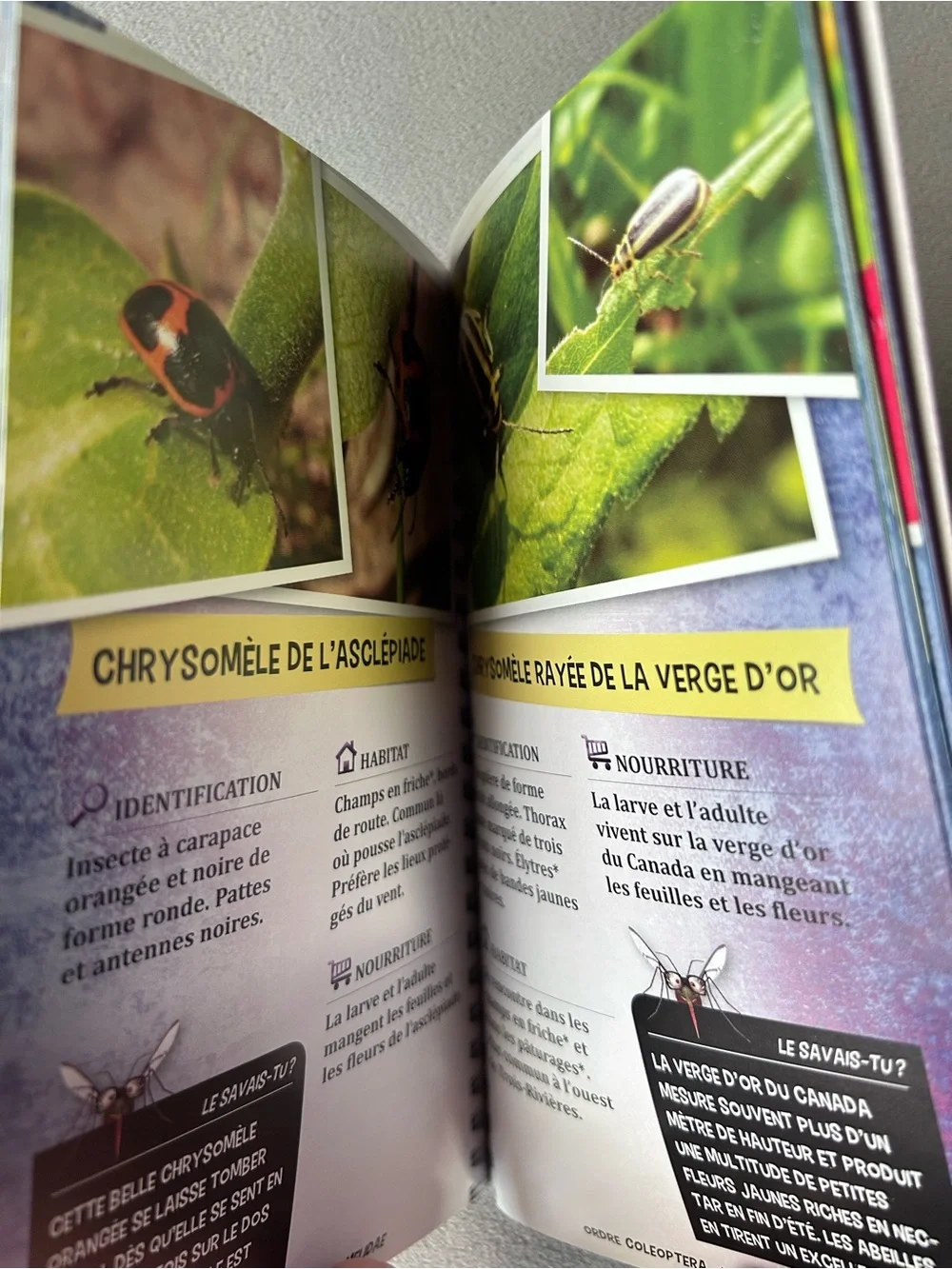 FRENCH ~ Insectes du Québec (Guide Jeunes explorateurs) ~ Brand New! - Picture 4 of 6